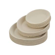 Paper Pulp Tableware